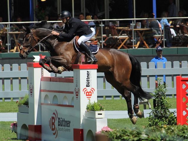 二批债务清 二批债务清